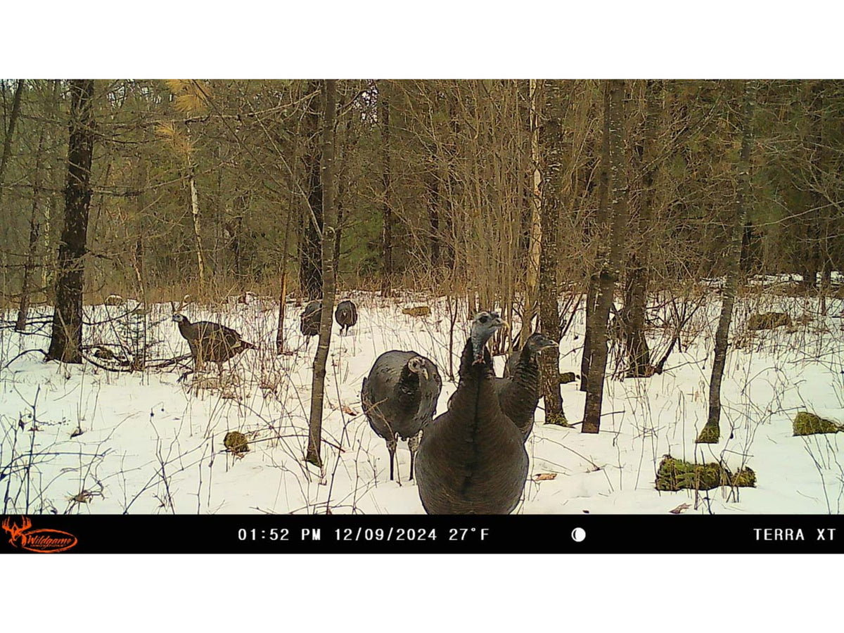 Wildgame Innovations TERRA XT 2.0 Cellular Camera Camo WGI-TERACC2