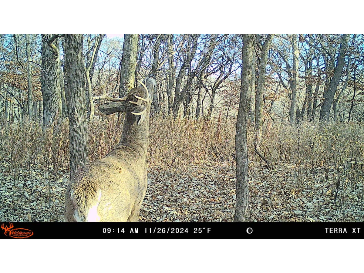 Wildgame Innovations TERRA XT 2.0 Cellular Camera Camo WGI-TERACC2
