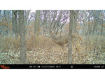 Wildgame Innovations TERRA XT 2.0 Cellular Camera Camo WGI-TERACC2