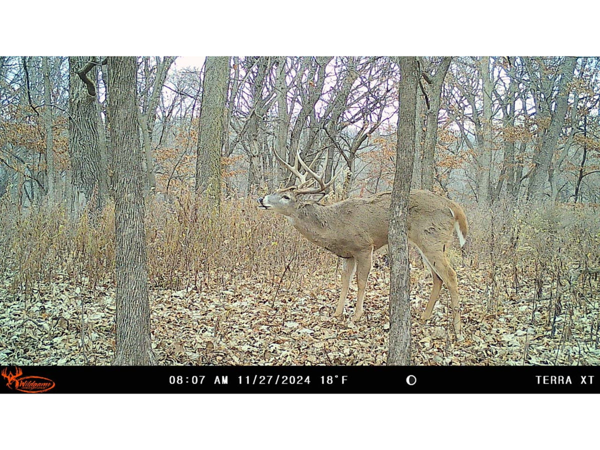 Wildgame Innovations TERRA XT 2.0 Cellular Camera Camo WGI-TERACC2