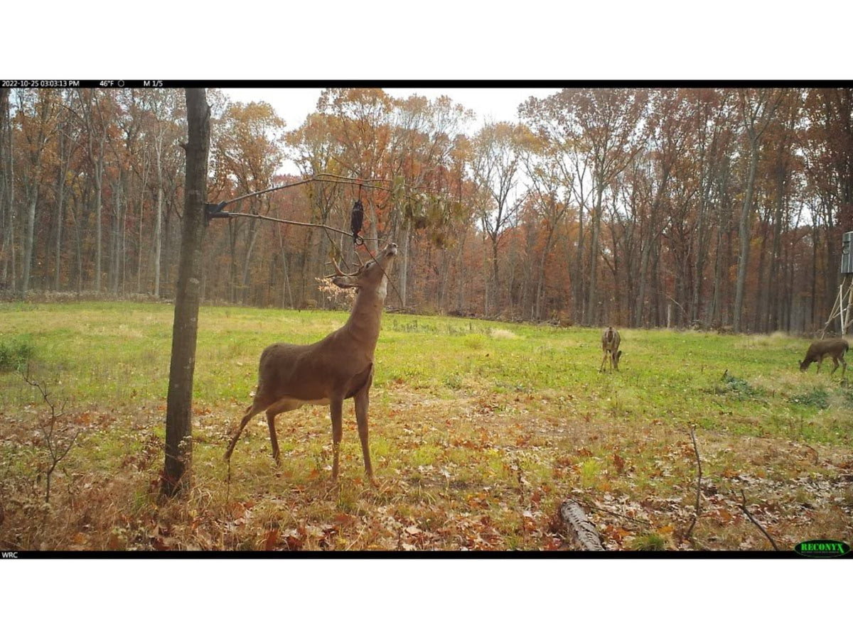 Wildlife Research Center 393 ACTIVE-BRANCH MOCK SCRAPE KIT 393