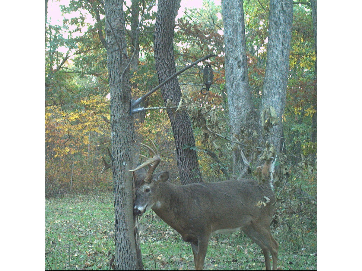 Wildlife Research Center 393 ACTIVE-BRANCH MOCK SCRAPE KIT 393