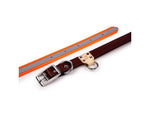 King Buck O Ring High Visibility Reflective Collar