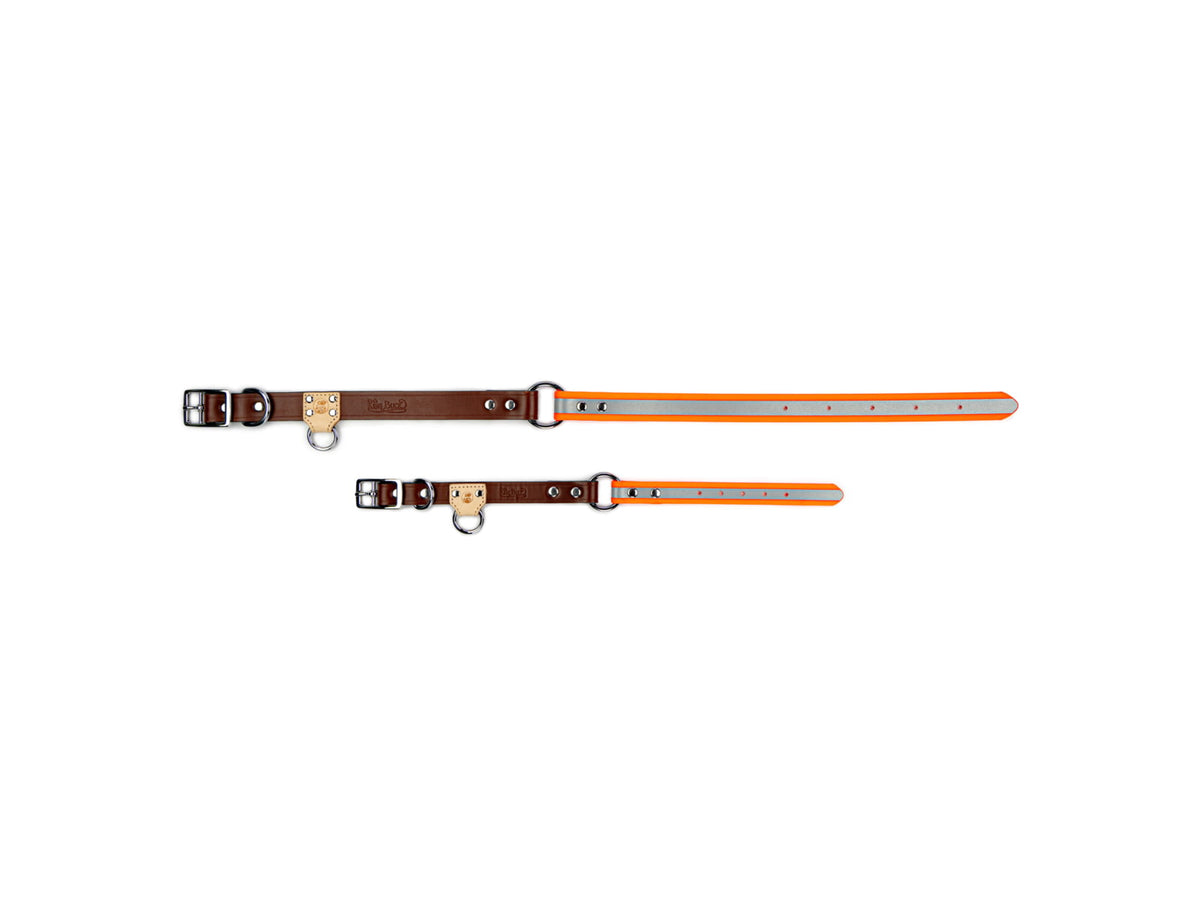King Buck O Ring High Visibility Reflective Collar