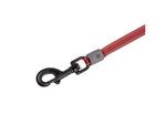 Winchester Pet Retractable Leash Red L