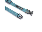 Winchester Pet Signature Ombre Dog Collar Aqua Haze XL