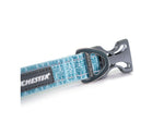 Winchester Pet Signature Ombre Dog Collar Aqua Haze XL