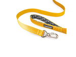 Winchester Pet Deluxe Carabiner Leash 6-Foot Hawaiian Sunset 6 foot