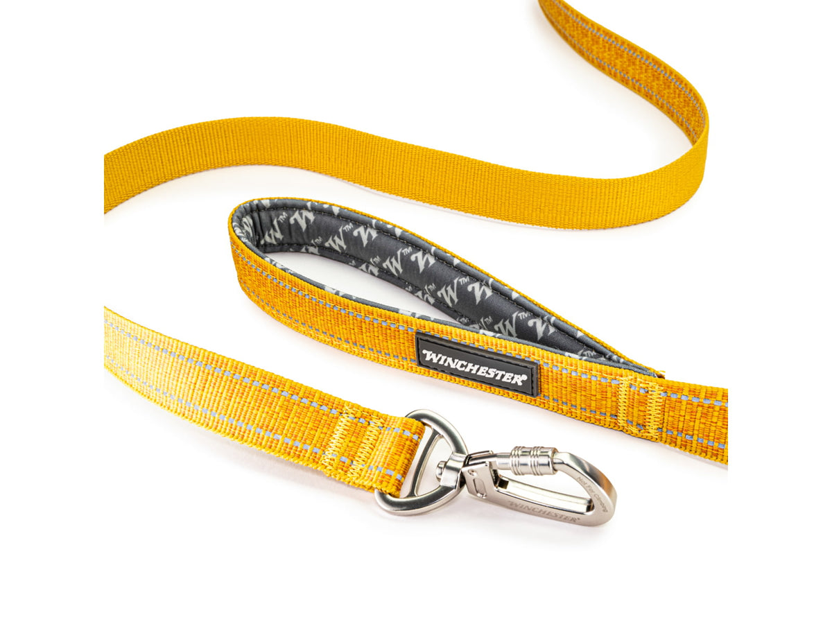 Winchester Pet Deluxe Carabiner Leash 6-Foot Hawaiian Sunset 6 foot