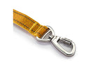 Winchester Pet Deluxe Carabiner Leash 6-Foot Hawaiian Sunset 6 foot