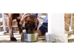 Yeti Boomer 4 Dog Bowl