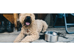 Yeti Boomer 4 Dog Bowl