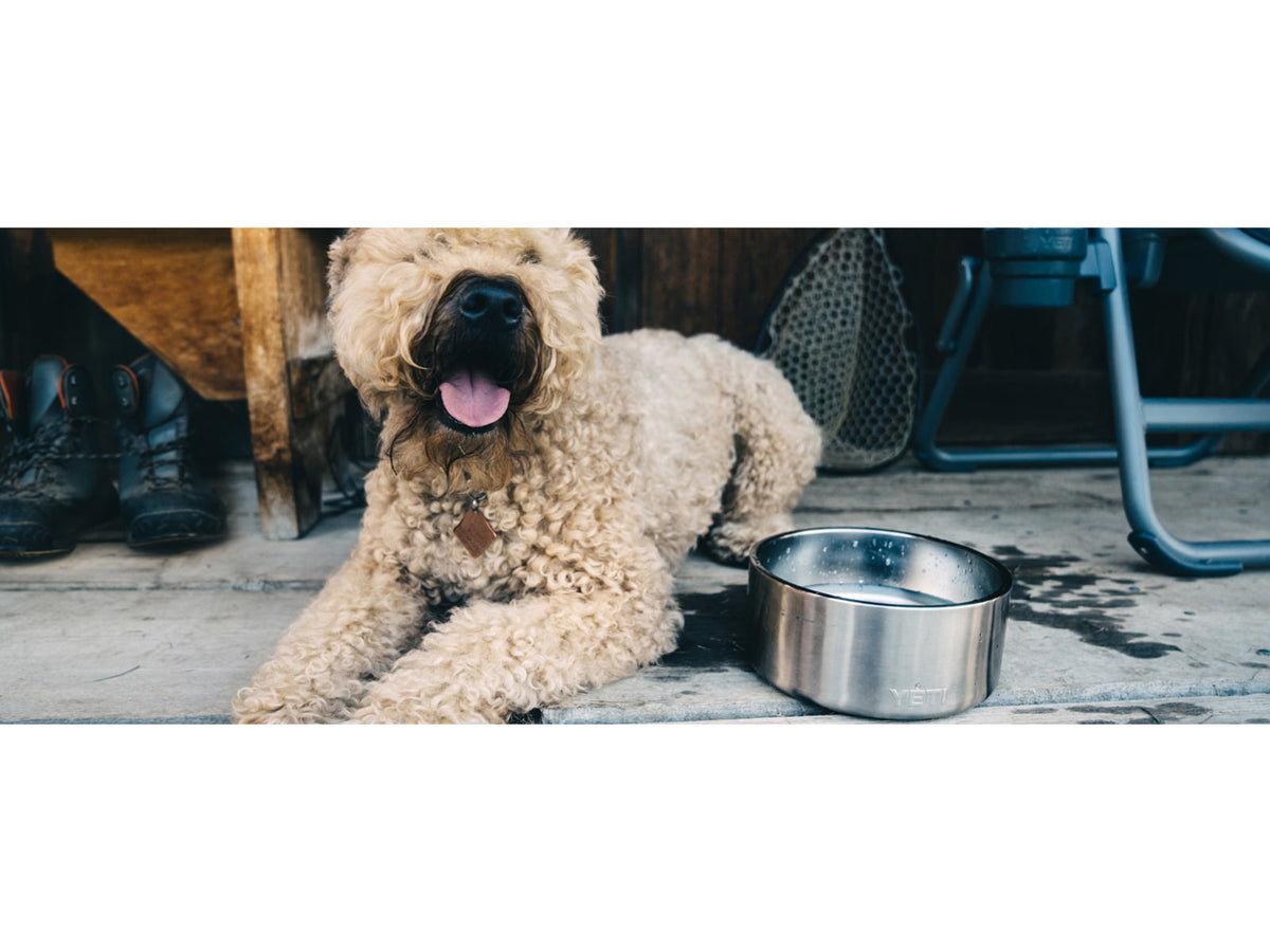 Yeti Boomer 4 Dog Bowl