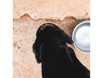 Yeti Boomer 4 Dog Bowl