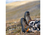 Zamberlan 2092 Mountain Trek GTX RR Mountaineering Shoes - Men's PFAS-Free Graphite/Orange