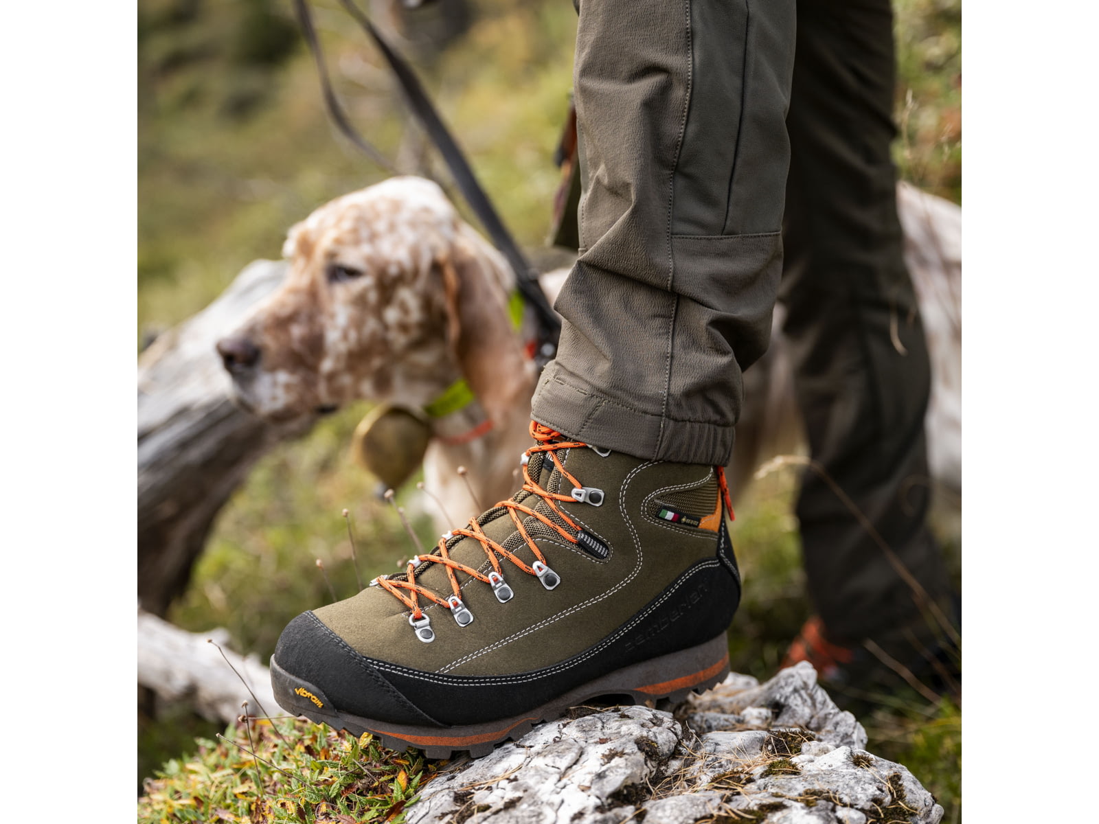 Zamberlan 700 Sierra GTX Hiking Shoes - Men's PFAS-Free Forest