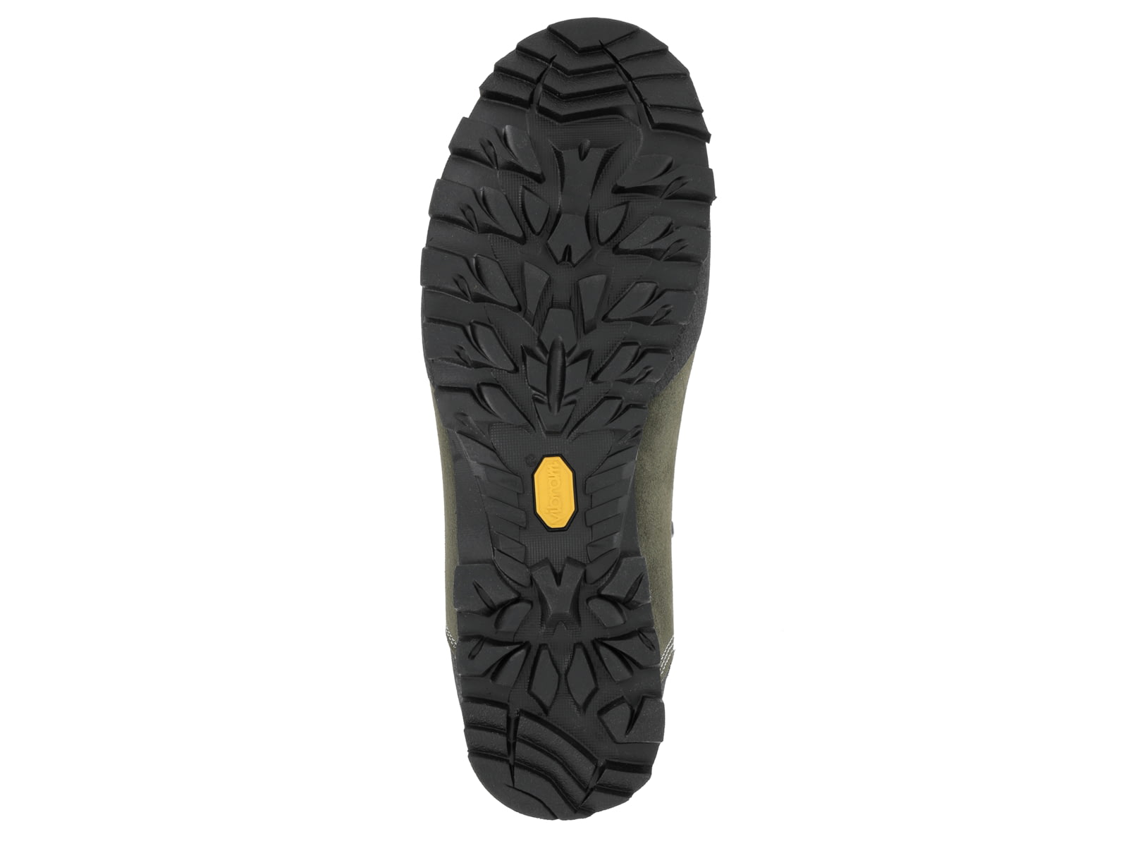 Zamberlan 1110 Baltoro Lite GTX Hiking Shoes - Men's PFAS-Free Musk