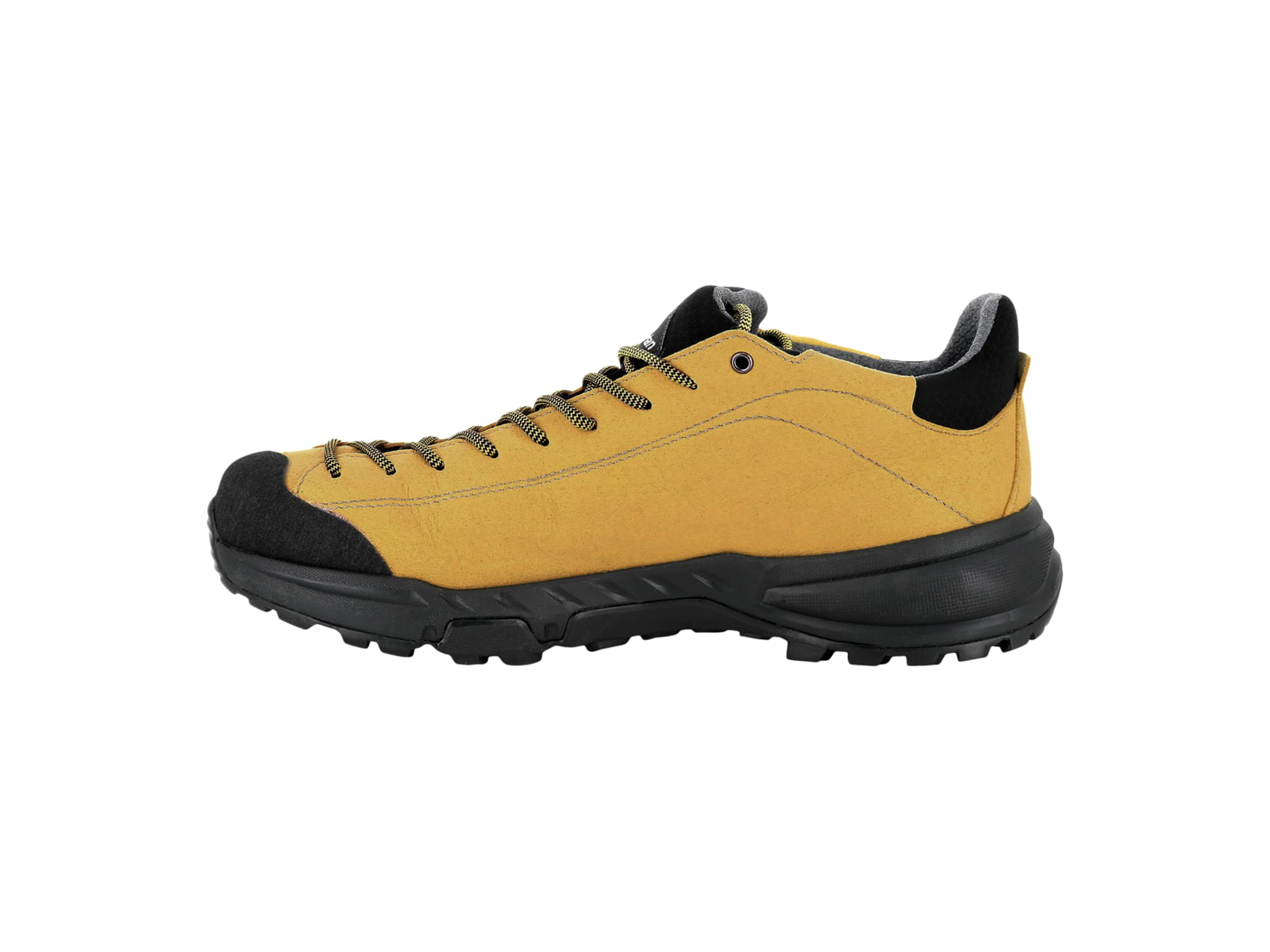 Zamberlan Free Blast GTX Hiking Shoes - Men's PFAS-Free Dark Grey 8